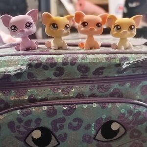 Littlest Pet Shop Pastel Purple, Peach & Yellow Pig Set!